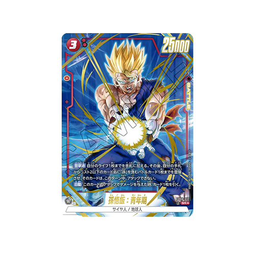 Son Gohan : Adolescence Parallel FB08-012 Card