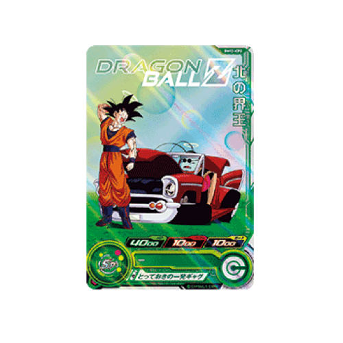 King of the North BM12-ICP2 Card