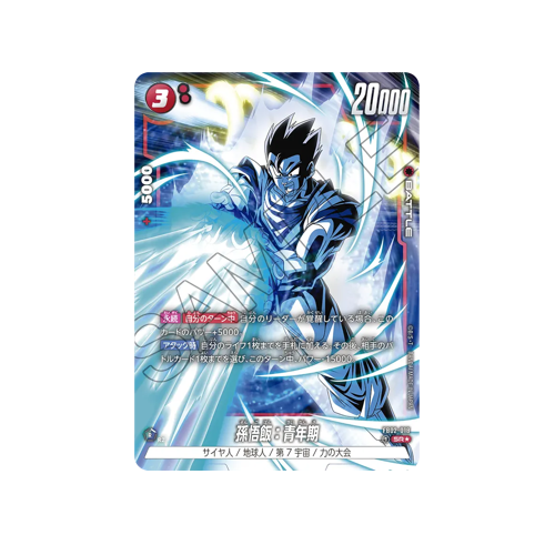 Son Gohan : Adolescence Parallel FB02-018 Card