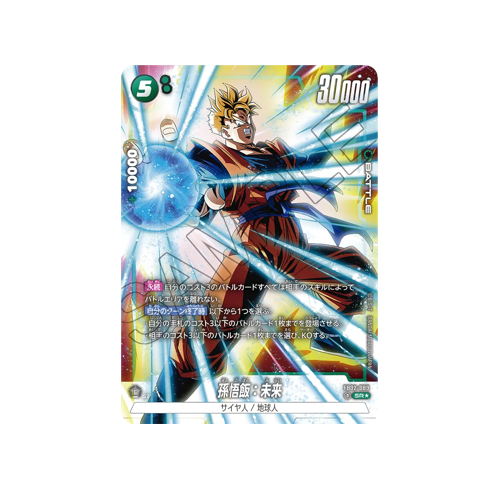 Son Gohan : Future Parallel FB02-089 Card
