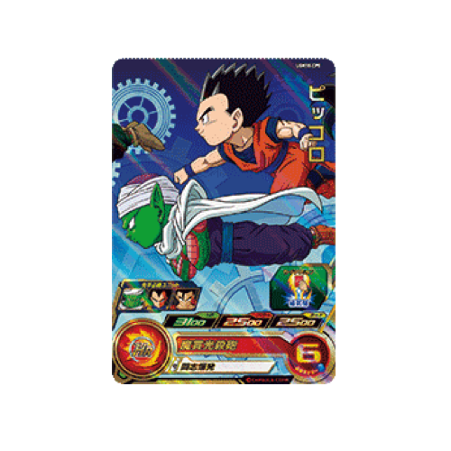 Piccolo UGM10-CP5 Card