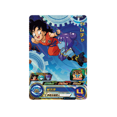 Yamachu UGM10-CP6 Card