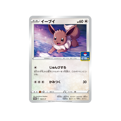 Eevee Promo 163/S-P Card