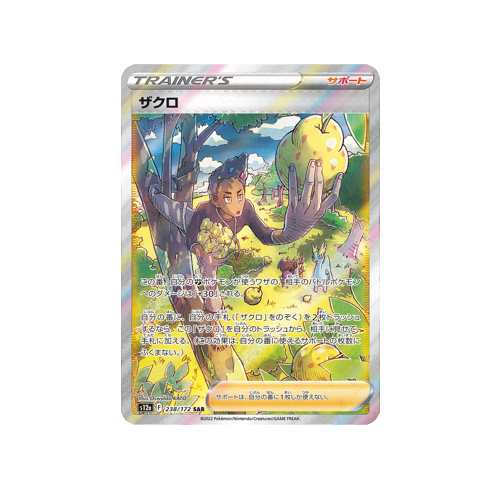 Grant Trainer S12a 238/172 SAR Card