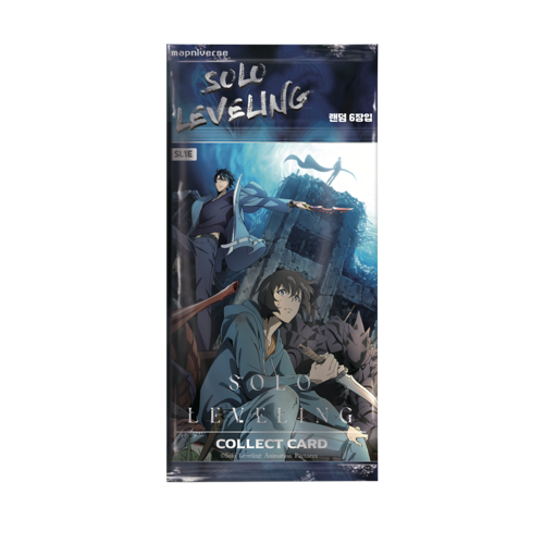 Solo Leveling SL1E Display