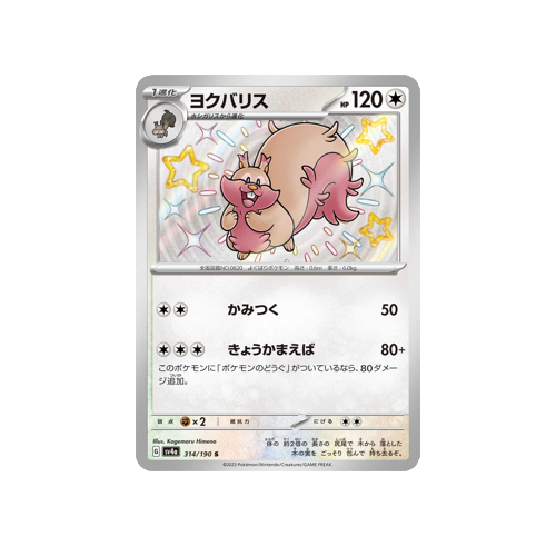 Greedent SV4a 314/190 S Card