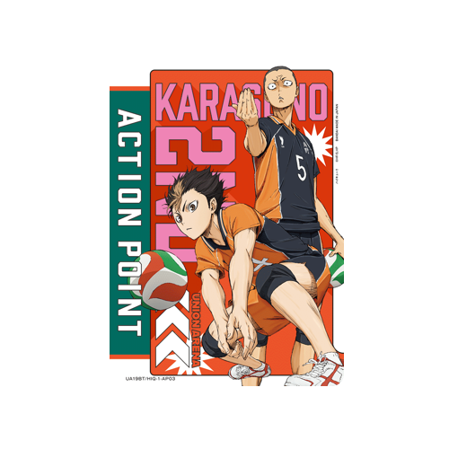 Action Point UA19BT/HIQ-1-AP03 Card