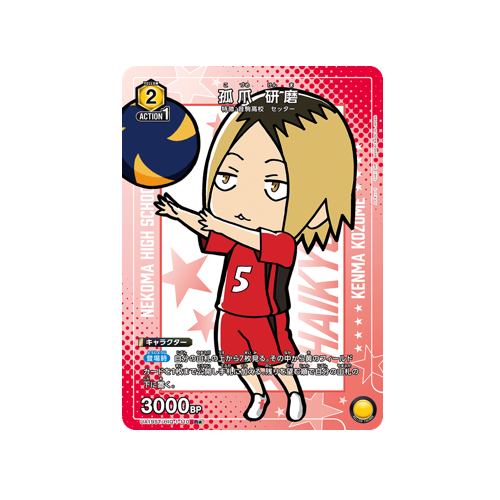 Action Point UA19ST/HIQ-1-110 Card