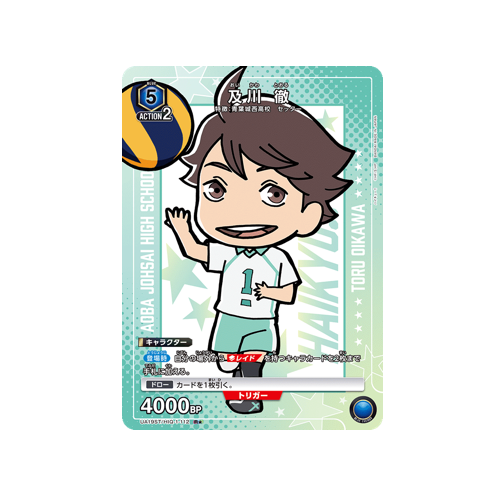 Action Point UA19ST/HIQ-1-112 Card