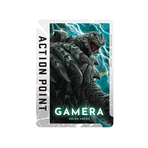 Action Point UA22BT/GMR-1-AP01 Card