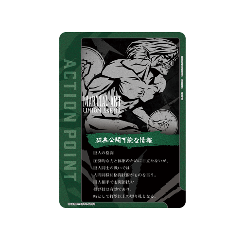 Action Point UA23BT/AOT-1-AP01 Card