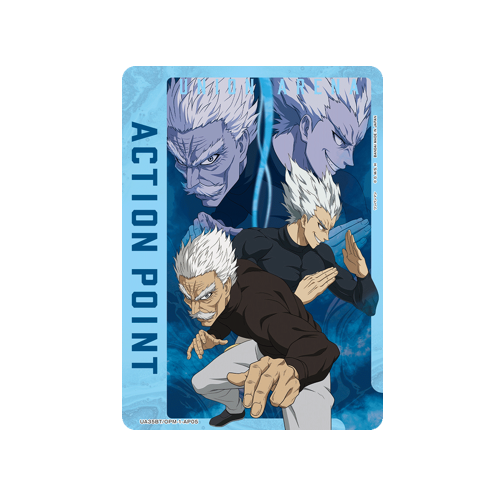 Action Point UA35BT/OPM-1-AP05 Card