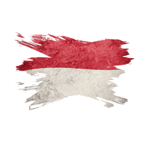 Indonesia Pokémon Products