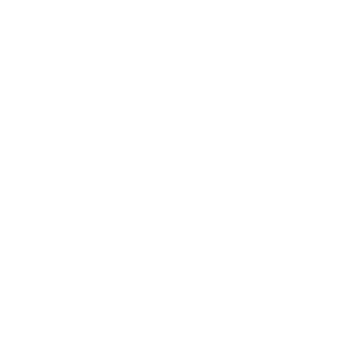 The First Chapter