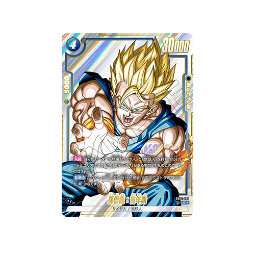 Son Gohan : Adolescence Parallel SB02-026 Card
