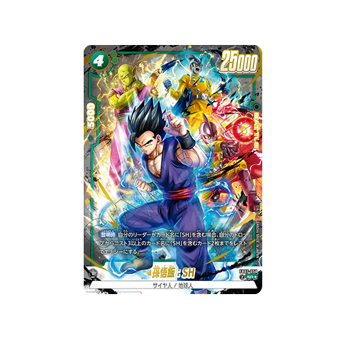 Son Gohan : SH Parallel FB07-058 Card