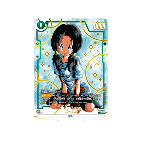 Videl Parallel FB10-064 Card