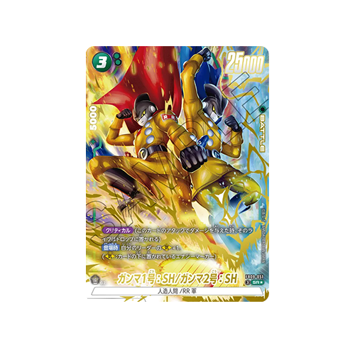 Gamma 1 : SH/Gamma 2 : SH Parallel FB09-051 Card