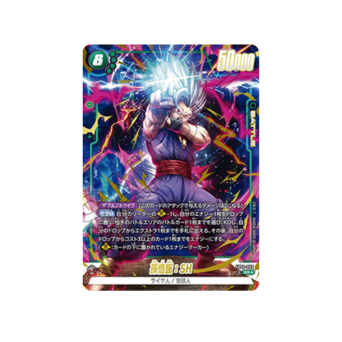 Son Gohan : SH Parallel FB09-060 Card
