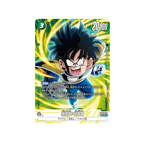 Son Gohan : Youth Parallel FB05-054 Card