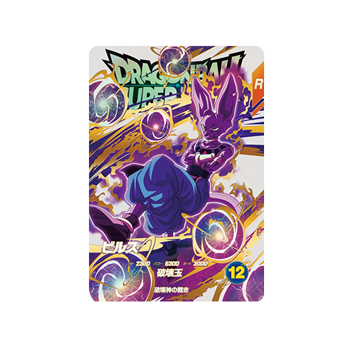 Beerus EX5-003 EXR Card