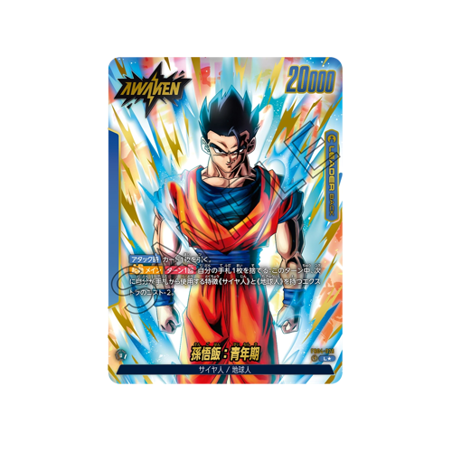 Son Gohan : Adolescence Leader FB04-026 Card