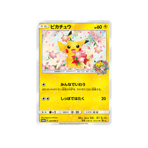 Pikachu Promo 224/SM-P Card