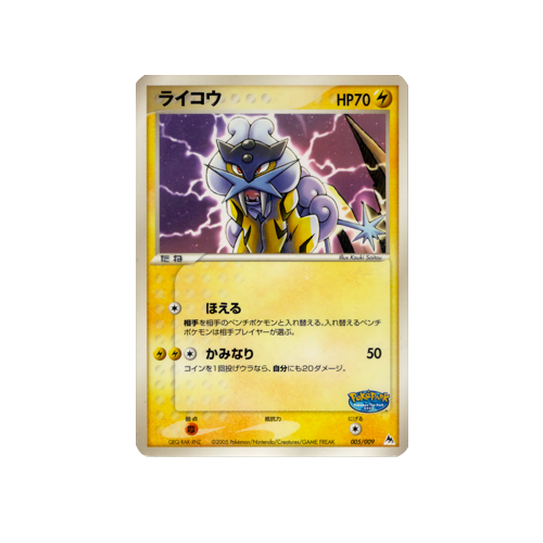 Raikou PokePark 2005 Promo 005/009 Card