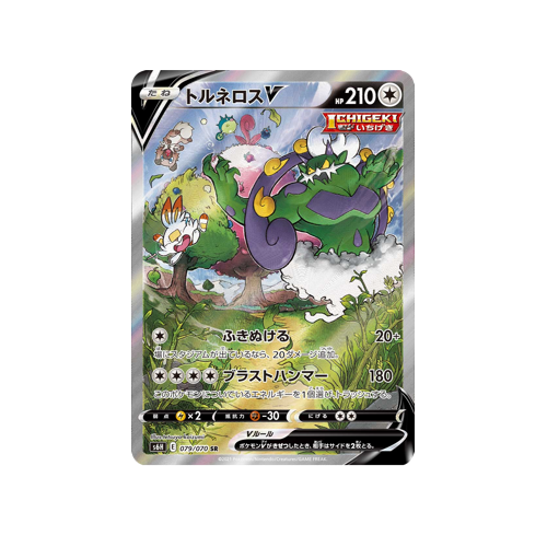 Tornadus V S6H 079/070 SR Card