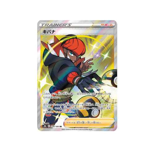 Raihan Trainer S8b 259/184 SR Card