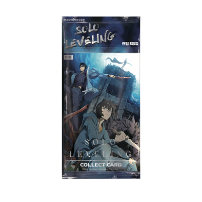 Solo Leveling SL1E Display