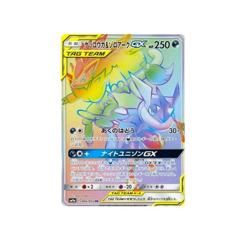 Greninja & Zoroark GX Tag Team SM9a 066/055 HR Card