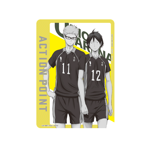 Action Point UA19BT/HIQ-1-AP02 Card