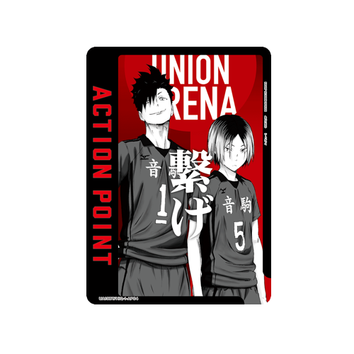 Action Point UA19BT/HIQ-1-AP04 Card