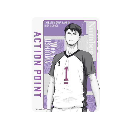 Action Point UA19BT/HIQ-1-AP06 Card