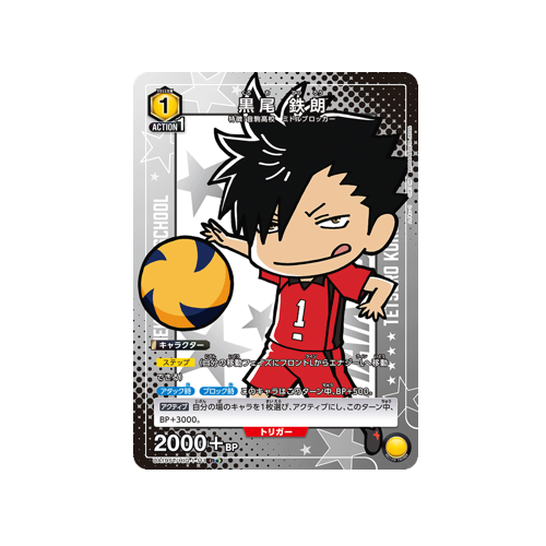 Action Point UA19ST/HIQ-1-111 Card