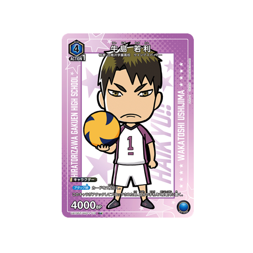 Action Point UA19ST/HIQ-1-113 Card