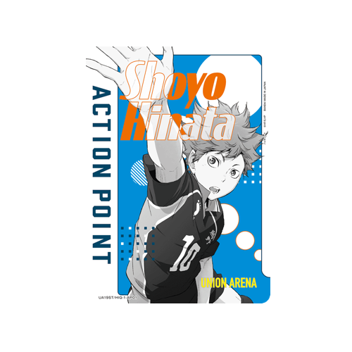 Action Point UA19ST/HIQ-1-AP01 Card