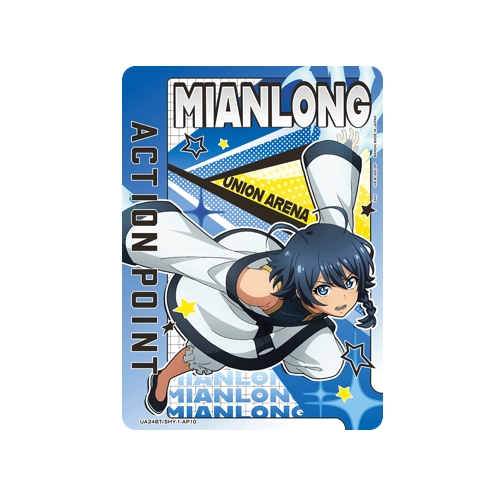 Action Point UA24BT/SHY-1-AP10 Card