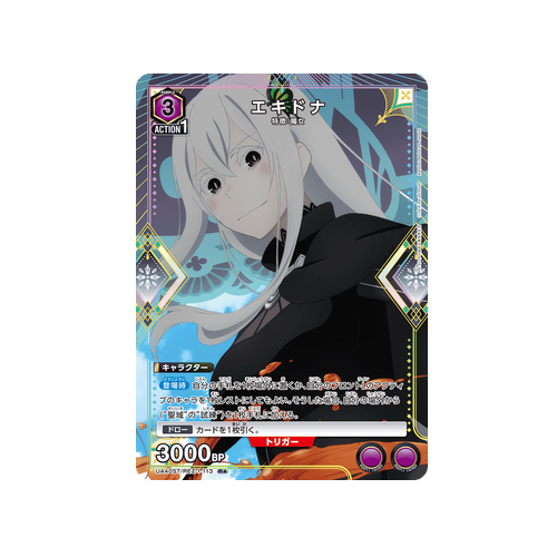 Echidna UA40ST/REZ-1-113 ★ Card