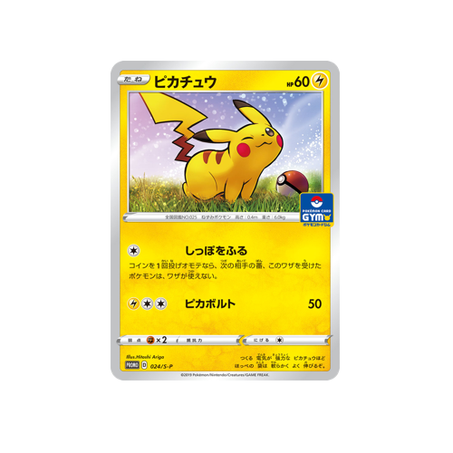 Pikachu Promo 024/S-P Card