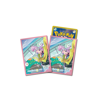 Pokémon Snow Hazard & Clay Burst Gym Box